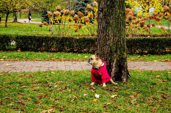 10 raisons d'adopter le disque menstruel réutilisable pour vos règles