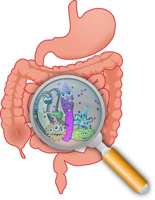 Bilharziose : comment se protéger contre cette maladie parasitaire ?